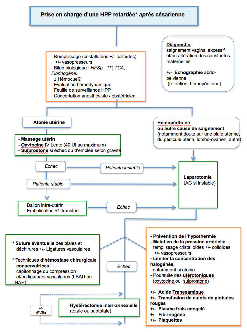 HEMORRAGIE POST PARTUM PDF